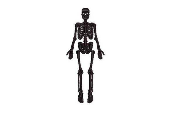 Vintage Anatomical Skeleton Review for Real Embroidery Projects